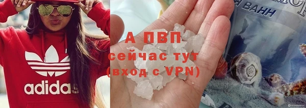 сатива Арсеньев