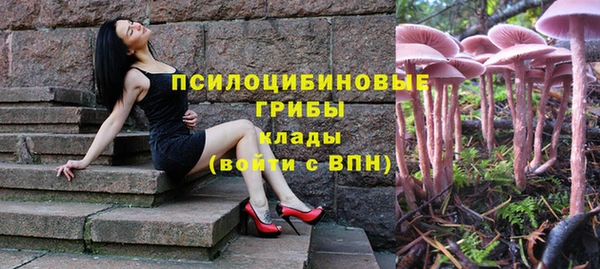 сатива Арсеньев